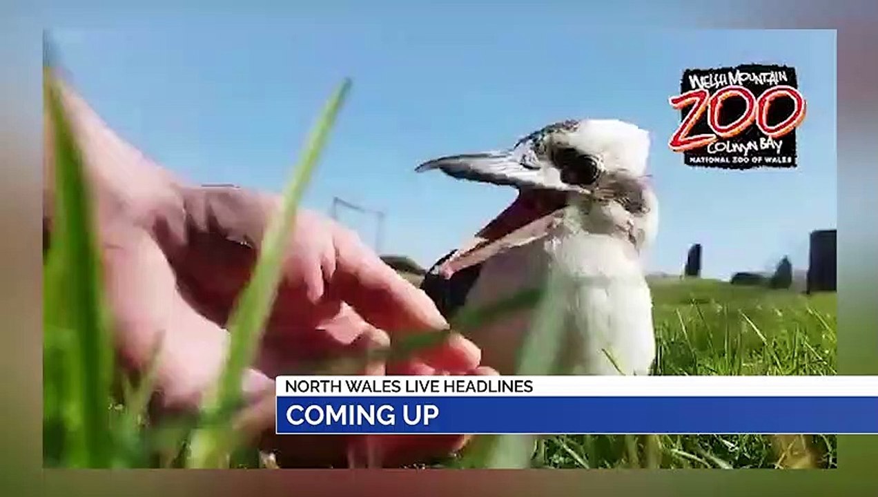 NEWS: 27th June 2020