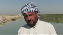 Iraq's historic marshes: Outbreak threatens community of herders