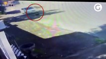 Cachorro é atropelado na Serra e motorista não presta socorro