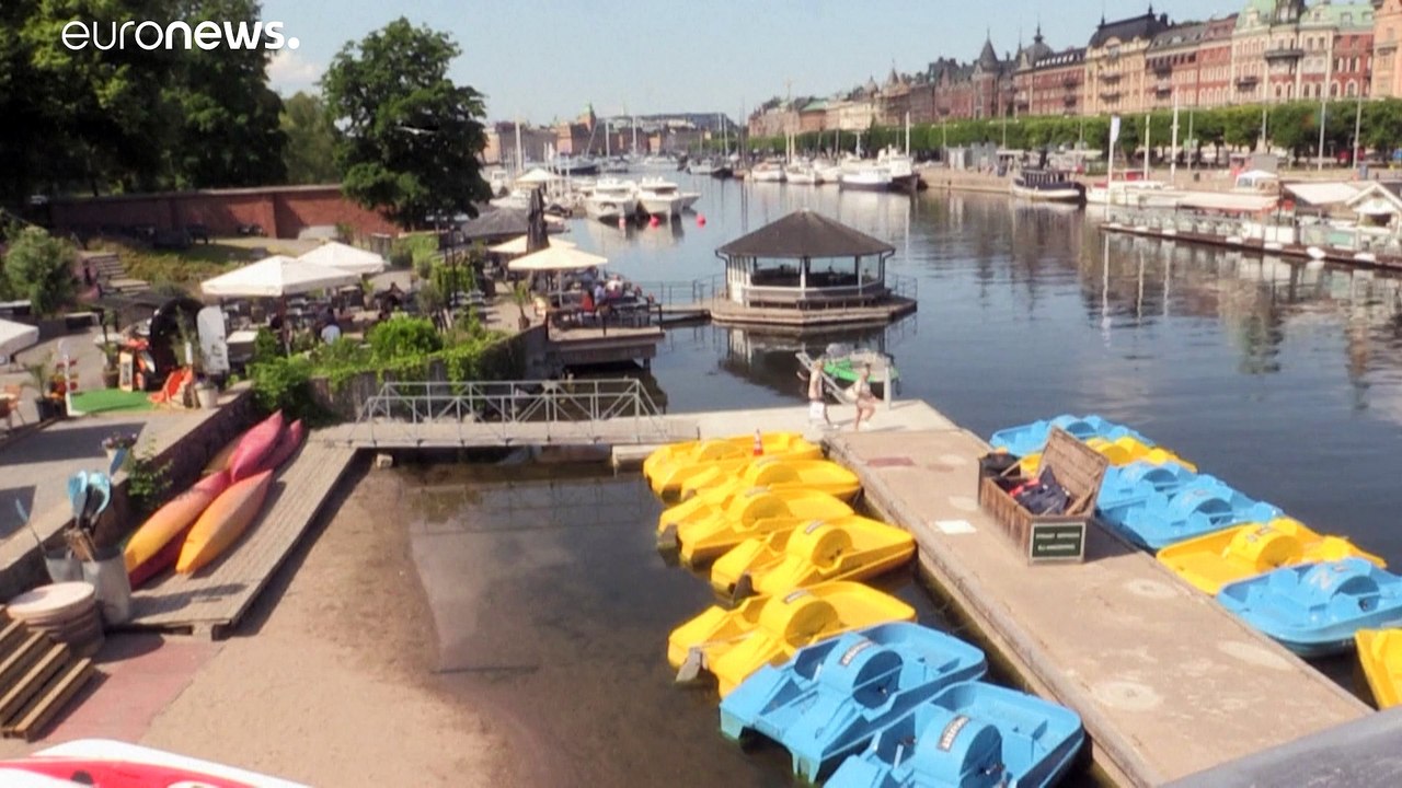 Hitzewelle mit über 30°C im Norden: Was machen da die Rentiere?