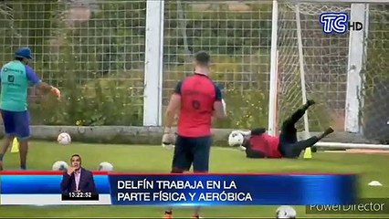 Delfín trabaja en la parte física y aeróbica