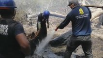 Isla de Salamanca, amenazada por incendios e intereses económicos