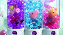 Pig George and Peppa Pig Swimming in Pool Orbeez Learn Colors with Orbeez Magically Grows in Water