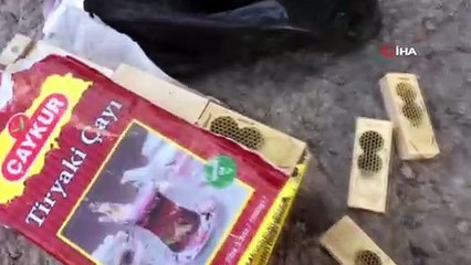 Tırda çay paketleri içinde esrarengiz anaç ve işçi arılar