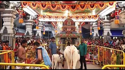 திருப்பதி தேவ தரிசனம்