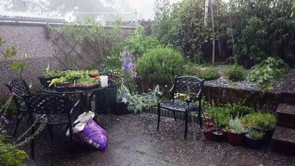 Hailstones in June during a thunderstorm in UK