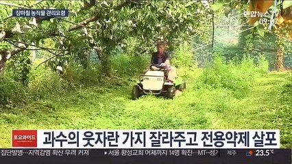 장마철 집중호우와 병충해…"농작물 관리는 이렇게"