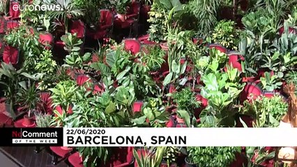 بدون تعليق الاسبوع: قردة تايلاند تحبس السكان وموسيقيو برشلونة يُطربون النباتات