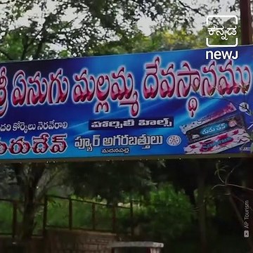 Intresting Facts About Andhra Pradesh Horsely Hills