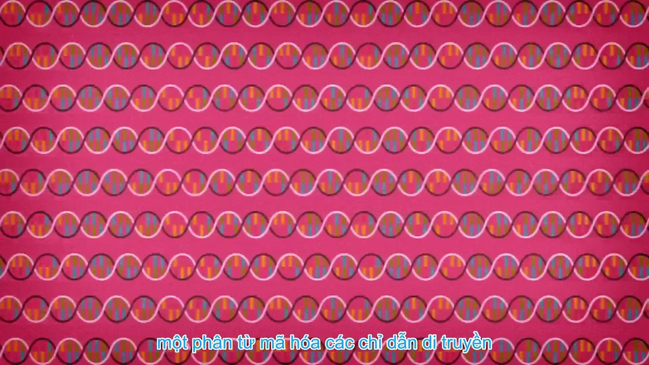 Are You Alone In The Universe