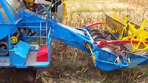 Amazing Primitive Farming Equipment - Rice Harvest, Corn Harvest, Sugar Harvest