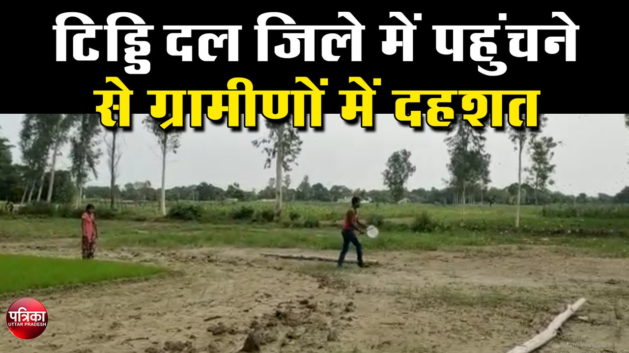 टिड्डि दल जिले में पहुंचने से ग्रामीणों में दहशत