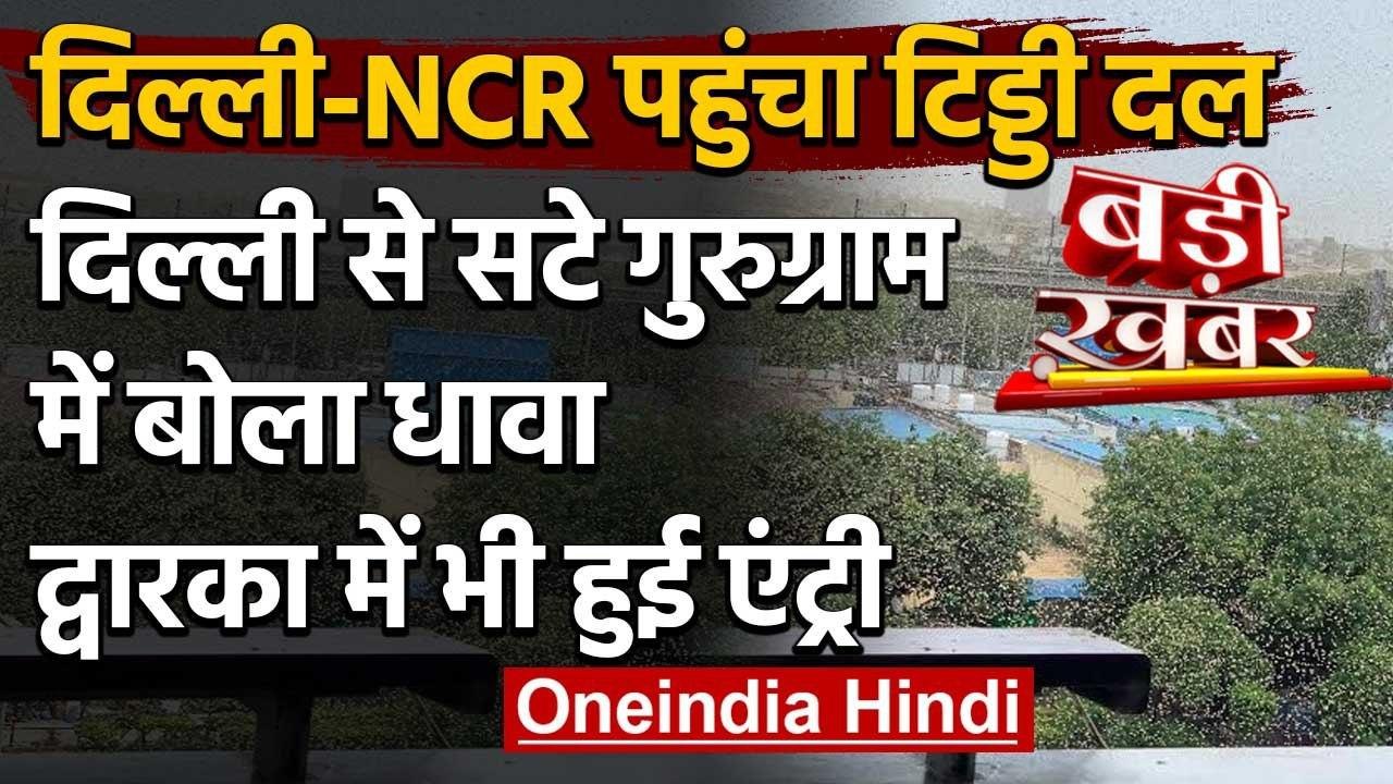 Delhi के Dwarka में Locusts की एंट्री, लोगों ने पटाखे-थाली बजाकर भगाया | वनइंडिया हिंदी