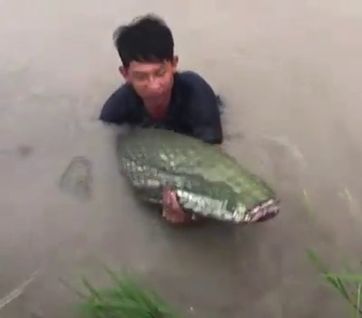 ⁣What A wonderful Fishing !!!Unbelievable   Fish Catching  20kg brown fish