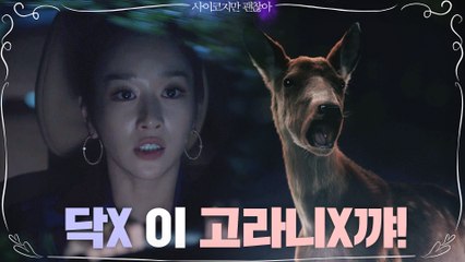 '이런 여주 처음이야!' 김수현에겐 폭풍 직진! 고라니와는 맞짱! (언니박력b)