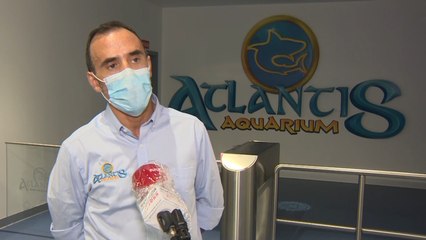 Atlantis Aquarium ofrece un "plan perfecto" de ocio para el fin de semana