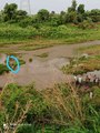 उज्जैन: नदी में बहे 55 वर्षीय व्यक्ति का शव, पुलिस ने शिप्रा नदी से किया बरामद