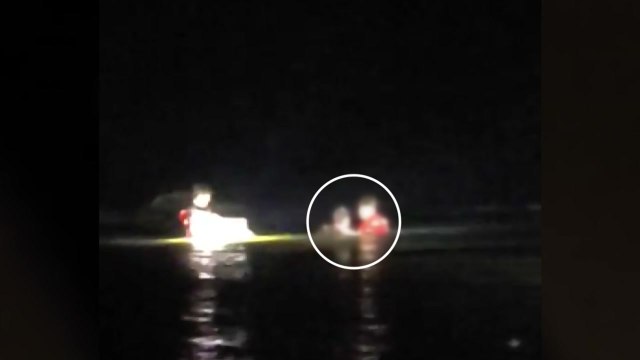 골뱅이 잡다 바다에 빠져...해경 구조 / YTN