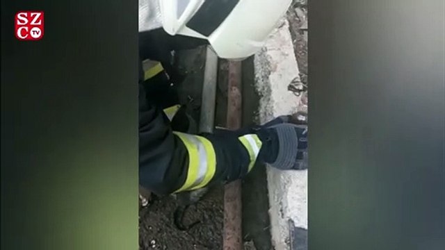 Su borusuna sıkışan yavru kedi kurtarıldı