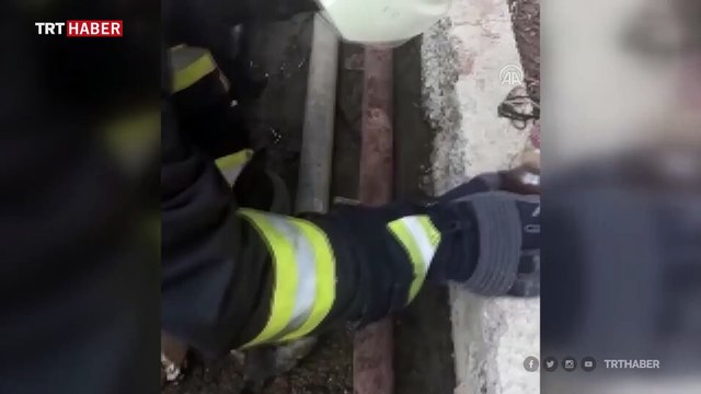 Kafası demir boruya sıkışan kediyi itfaiye kurtardı