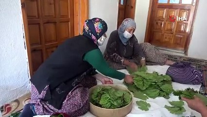 TOKAT BAĞ YAPRAĞININ HİKAYESİ