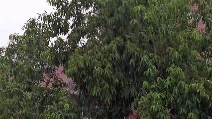 कानपुर में हुई जमकर बारिश, देखिए वीडियो