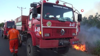 Söndürülmeden atılan izmarit yol kenarındaki otluk alanı tutuşturdu