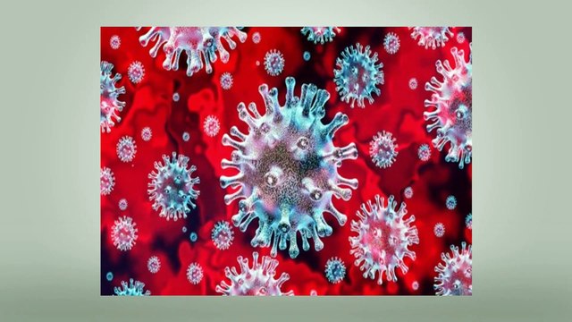 coronaindelhi: coronavirus : Sero Survey in Delhi | अब नहीं छुप सकेगा कोरोना जानिए कैसे | covid