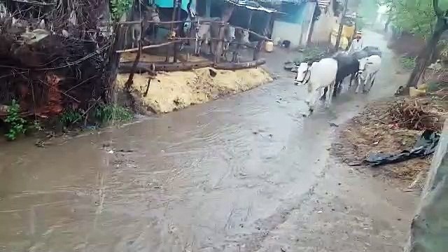 शाजापुर में देर शाम हुई बारिश