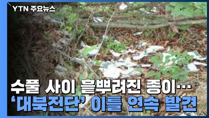 수풀 사이 흩뿌려진 종이...'대북전단' 이틀 연속 발견 / YTN