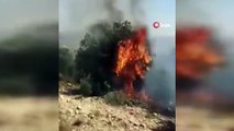 - Yahudi yerleşimciler Filistinlilerin arazilerini ateşe verdi