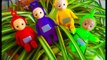 TELETUBBIES Toys Learning About Indoor Plants and Flowers-
