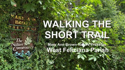 Walking the Short Trail at the Mary Ann Brown Nature Preserve