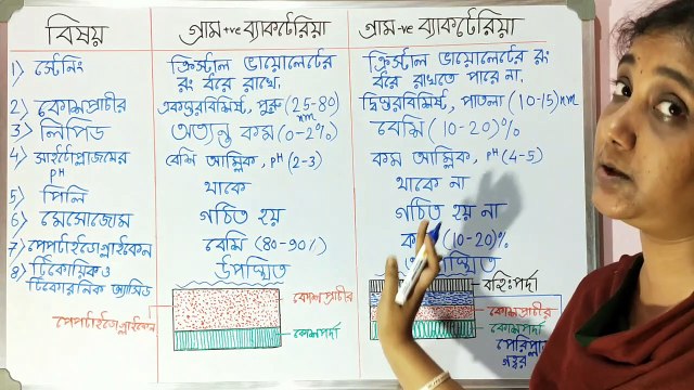 Gram Positive vs Gram Negative Bacteria | GRAM POSITIVE VS GRAM NEGATIVE BACTERIA | GRAM POSITIVE AND GRAM NEGATIVE BACTERIA | Gram Positive And Gram Negative Bacteria | গ্রাম পজিটিভ ব্যাক্টেরিয়া ও গ্রাম নেগেটিভ ব্যাক্টেরিয়া | Gram staining