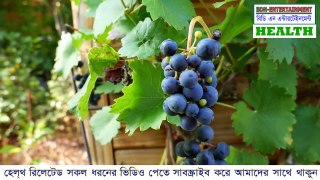 আঙ্গুরের উপকারিতা এবং পুষ্টিগুণ | Health tips bd bangla | Healthy lifestyle | bdn entertainment