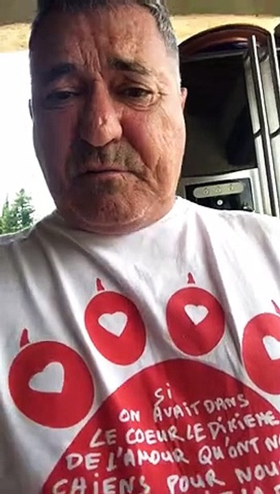 Journée mondiale contre l’abandon Des animaux