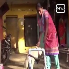 Meet the Family Who Treats A Stray Dog As Their Child