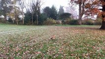 Cheeky fox attempts to steal drone in UK countryside