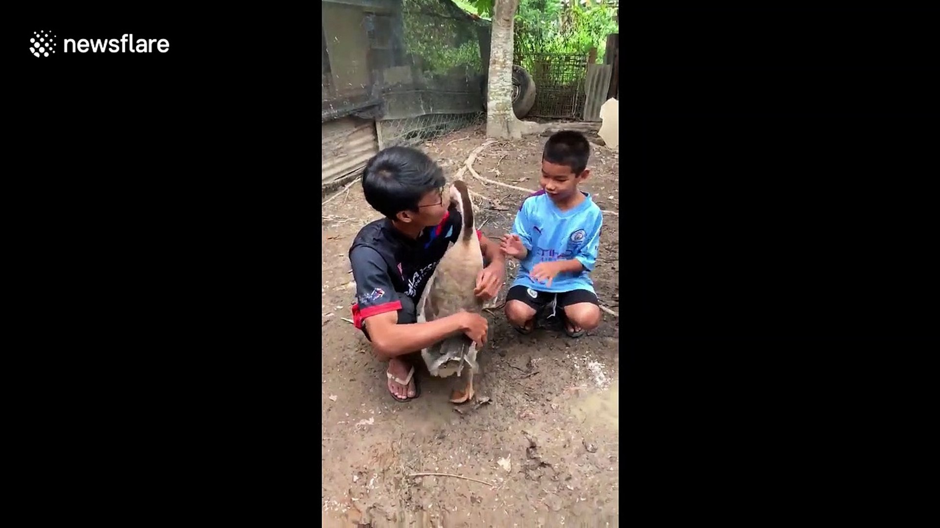 ⁣Adorable moment affectionate goose gives hugs to boy after months apart during COVID-19 pandemic