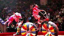 Unique People Who Performed in Circus - Reality Tv