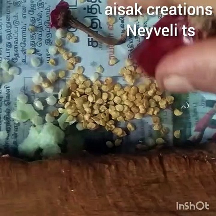 Veettil ulla porulagalai vaithu thottam poduvathu eppadi