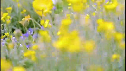 Blinded By Rage - The Potter's Touch with Bishop T.D. Jakes -