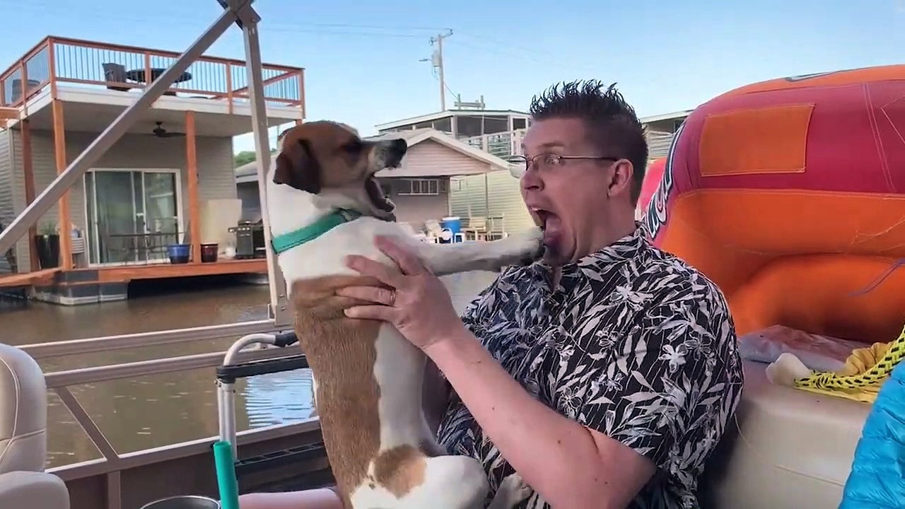 Momentos graciosos con animales - Intenta no reirte - Animales graciosos