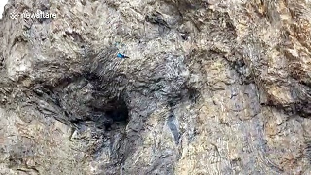 Three daredevils base jump from Swiss mountain in their wingsuits