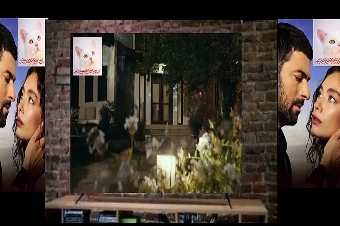القسم الاول الحل قة السا بعة عشر  من ب ن ت ال س ف ي ر