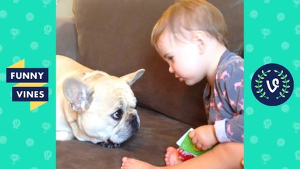 TRY NOT TO LAUGH - Funny BABIES and ANIMALS Compilation _ Funny Vines August 2018