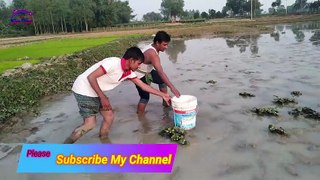 Best Fishing Video || and Rural Environment Fishing Methods || By Doljor Fishing