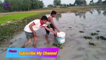 Best Fishing Video || and Rural Environment Fishing Methods || By Doljor Fishing