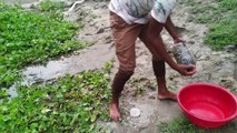 Eel Trap From Plastic Bottle || New Technique Of Catching Fish || By Doljor Fishing ||