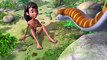 हिन्दी - मेगा ऐपिसोड _ Earth Day Special _ Jungle Book _ PowerKids TV_low